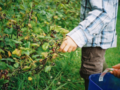 齁死人的情侶間情話合集 抖音最美情話短句精辟好聽(tīng)