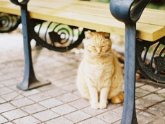 關(guān)于愛情的唯美句子情感真摯 甜甜蜜蜜的唯美句子