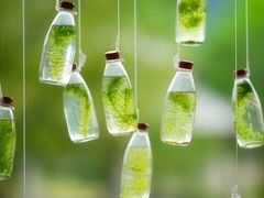 在生活中慢慢明白的經(jīng)典哲理句子 一段很現(xiàn)實(shí)的句子