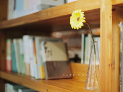 一句話滿滿都是愛情的句子 2018簡(jiǎn)單的一句話愛情句子