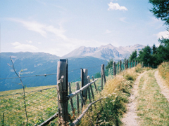 疼到骨子里的一些悲痛句子 句句刺心讓人心寒的愛情句子