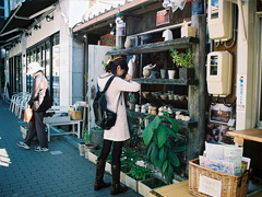 提到愛情的一些隨想 關(guān)于愛情的精辟句子