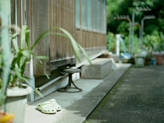 愛情中的甜蜜句子 很甜很少女的愛情情話句子