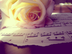 突然很想哭的心情說(shuō)說(shuō)大全 快手寫(xiě)進(jìn)心坎的傷感句子