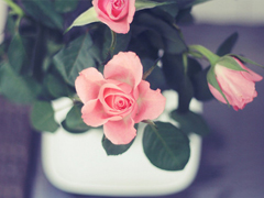 內(nèi)心煎熬的傷感說(shuō)說(shuō)帶圖片 始終無(wú)法忘記他的虐心說(shuō)說(shuō)