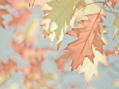 男生傷感說說心好累了 男生發(fā)朋友圈的傷感難過句子