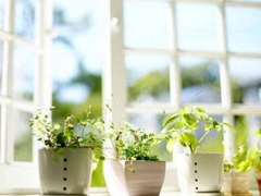 一個(gè)人被愛情傷透了的說說 被感情傷害的說說心情短語