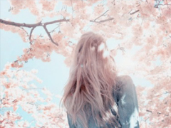 一個(gè)人感到孤單落寞的傷感說說 給那些在愛情中受過傷的人