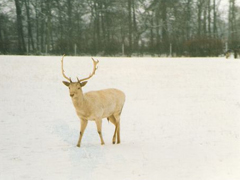 關(guān)于分離分別的傷感說說 每個人都是孤獨的傷感說說2018
