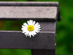 睡不著的傷感晚安說(shuō)說(shuō) 晚上容易想太多的傷感句子