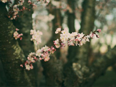 日升日落讓人感到傷感的說說 時間和愛情帶給我們的憂傷傷感說說