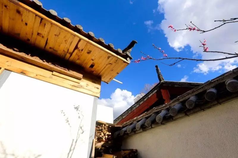 束河桃花塢，在茶馬古道浮生清閑陪父母慢慢變