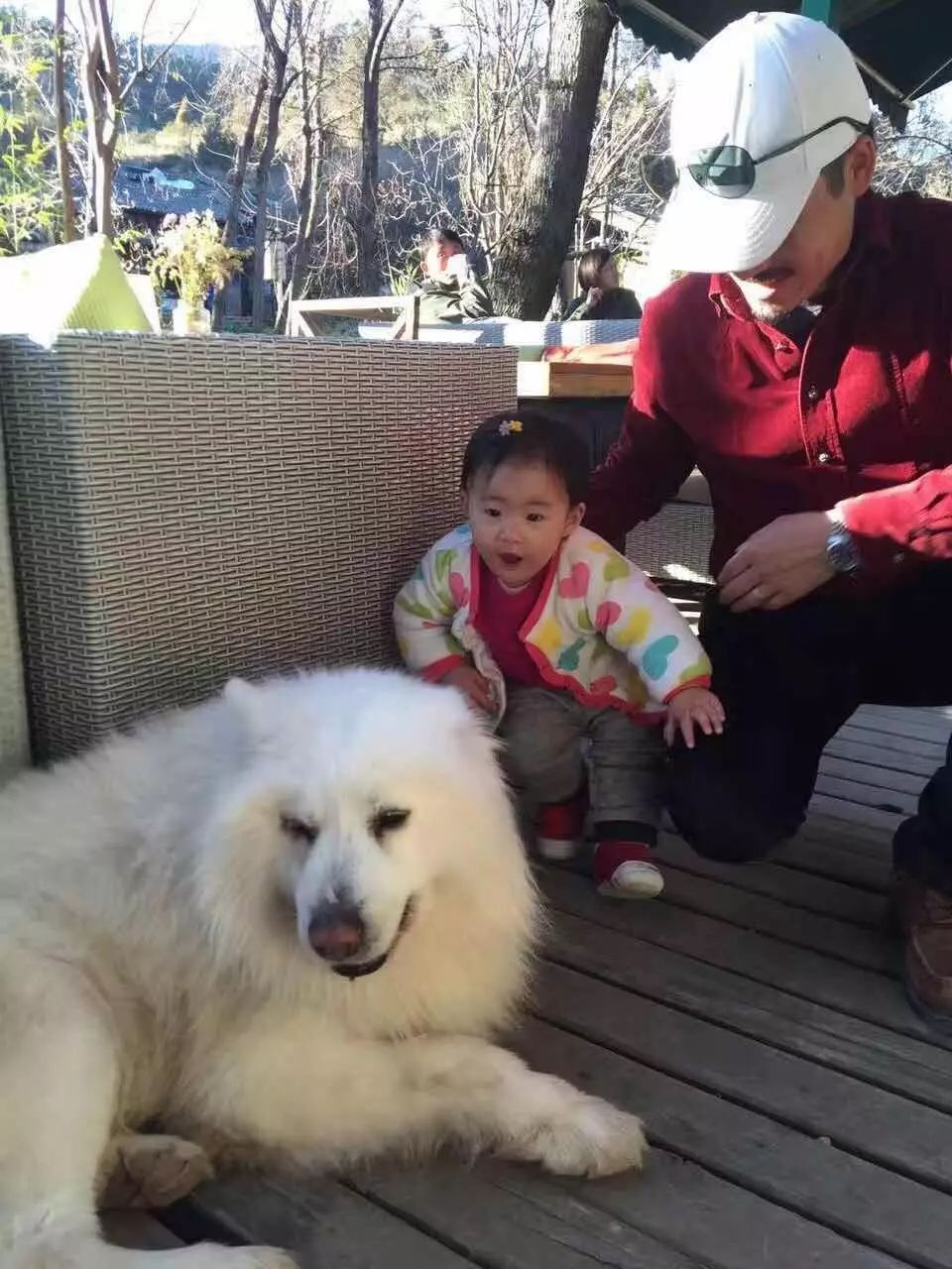 束河桃花塢，在茶馬古道浮生清閑陪父母慢慢變