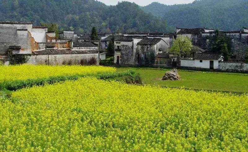 8家黃山腳下最美民宿，在青山田野享受歸園田居