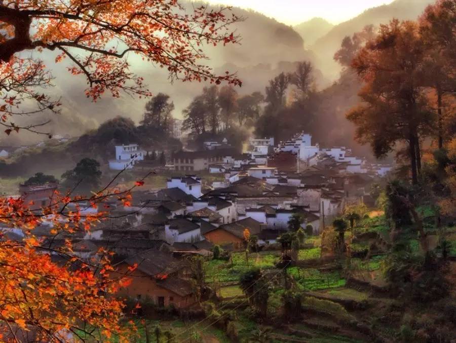 8家黃山腳下最美民宿，在青山田野享受歸園田居