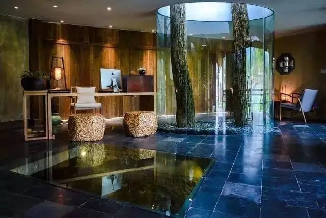 8家黃山腳下最美民宿，在青山田野享受歸園田居