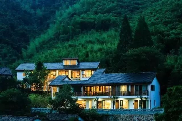 梧桐小筑，一幅靜靜舒展的水墨畫卷