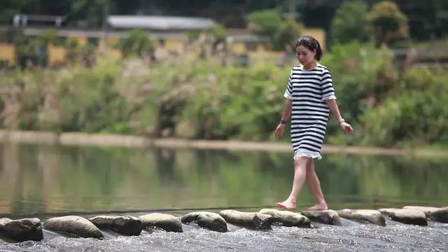 梧桐小筑，一幅靜靜舒展的水墨畫卷