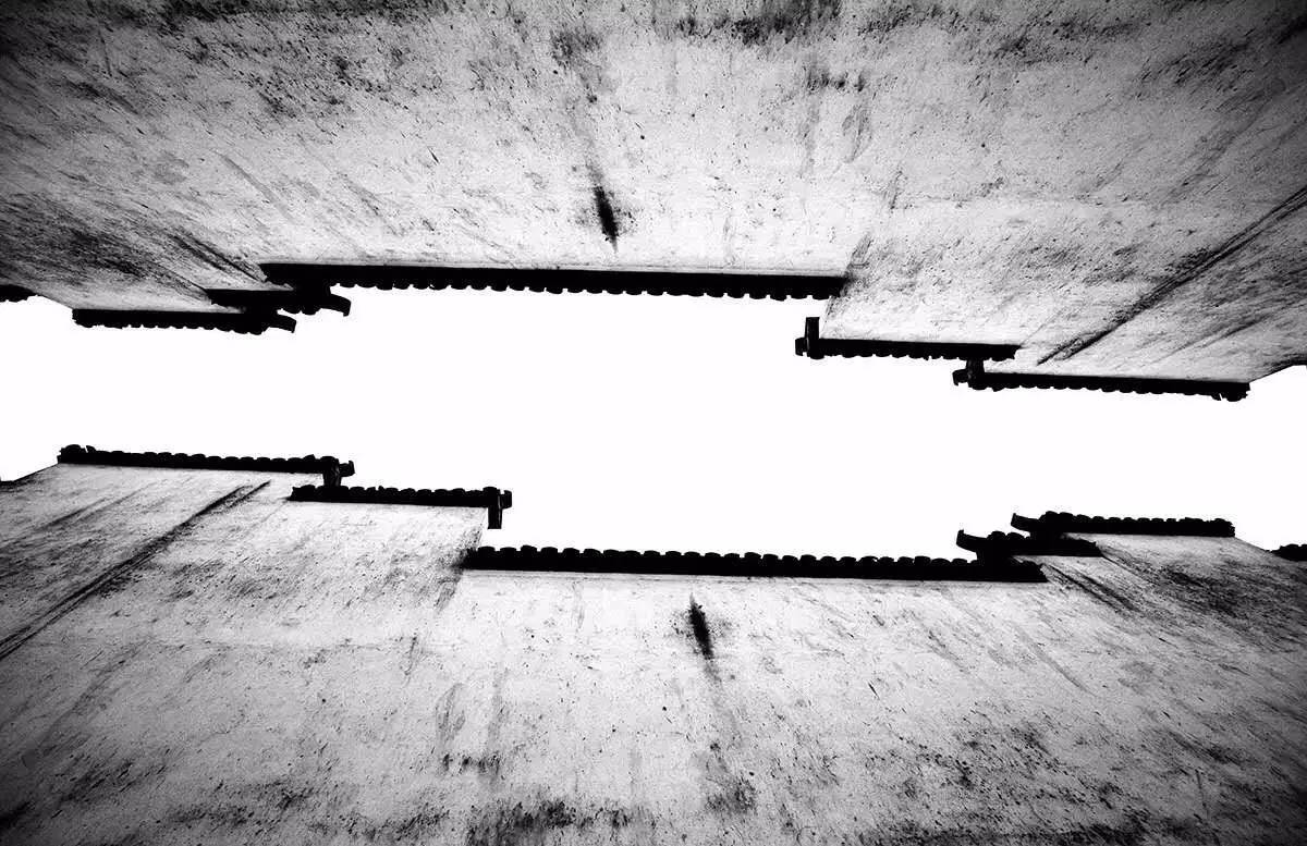 梧桐小筑，一幅靜靜舒展的水墨畫(huà)卷