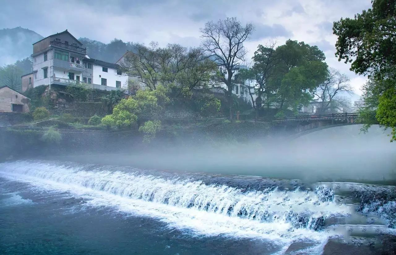 梧桐小筑，一幅靜靜舒展的水墨畫(huà)卷