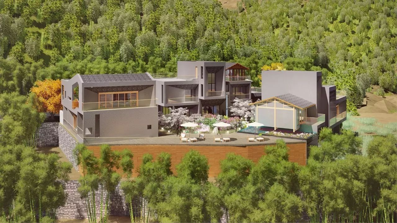 梧桐小筑，一幅靜靜舒展的水墨畫卷