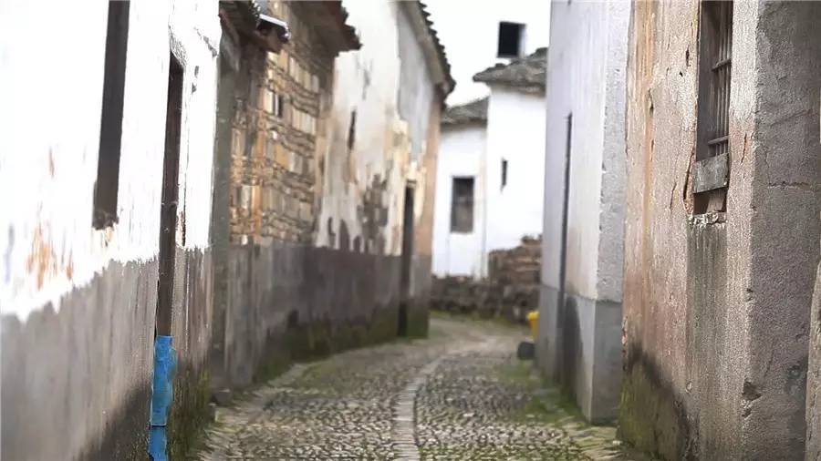 梧桐小筑，一幅靜靜舒展的水墨畫(huà)卷