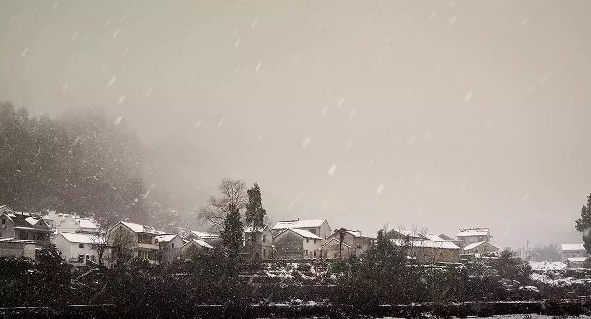 梧桐小筑，一幅靜靜舒展的水墨畫(huà)卷