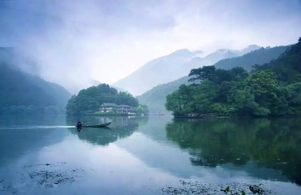 梧桐小筑，一幅靜靜舒展的水墨畫卷