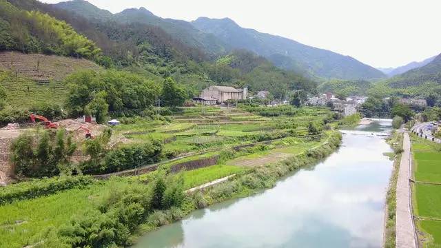 梧桐小筑，一幅靜靜舒展的水墨畫(huà)卷