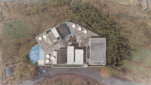 梧桐小筑，一幅靜靜舒展的水墨畫卷