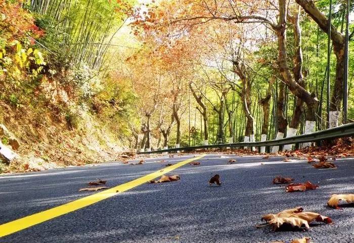 瓜洲云裳山村，春風又綠江岸春