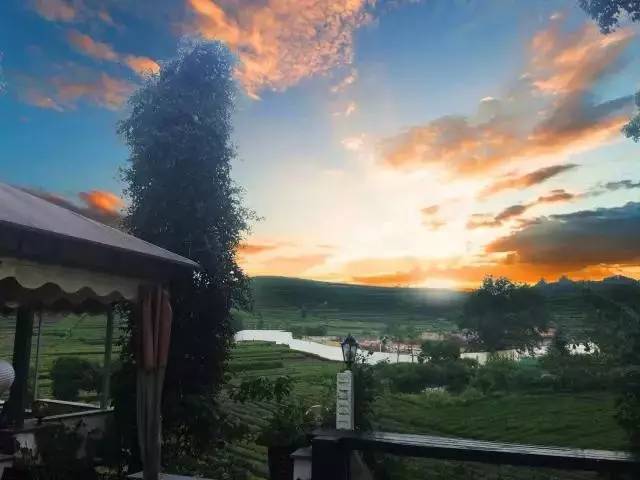 瓜洲云裳山村，春風(fēng)又綠江岸春