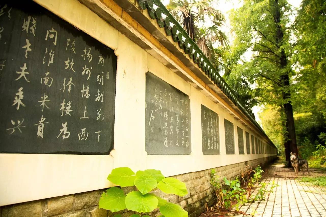 瓜洲云裳山村，春風(fēng)又綠江岸春