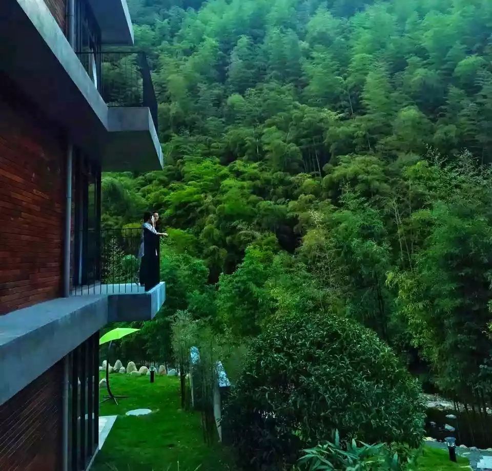 莫干山悠然九希，面朝竹海背向茶山的避暑圣地