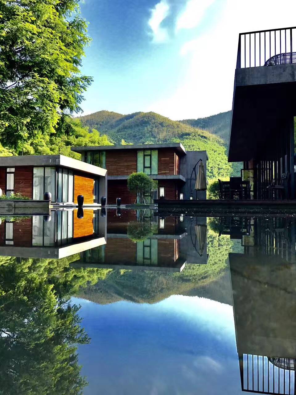 莫干山悠然九希，面朝竹海背向茶山的避暑圣地