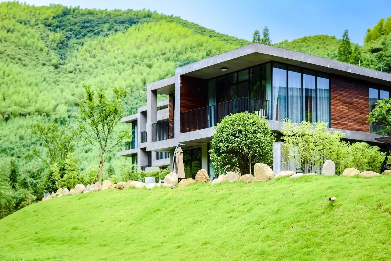 莫干山悠然九希，面朝竹海背向茶山的避暑圣地