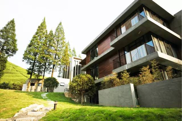 莫干山悠然九希，面朝竹海背向茶山的避暑圣地