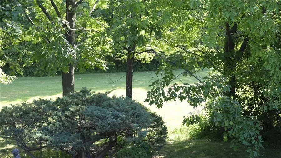 多村一號(hào)，在海外住進(jìn)小別墅慢條思理地生活