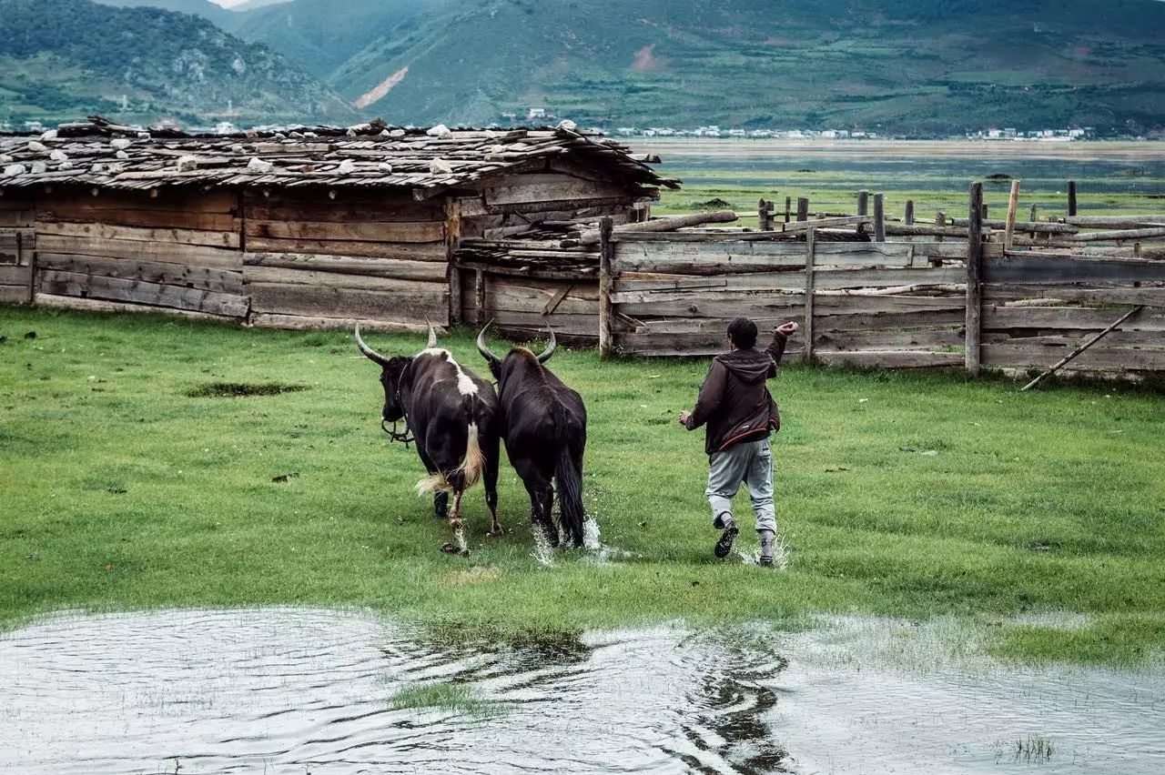 香格里拉薩洛頤度假酒店，以上帝視角看納帕海