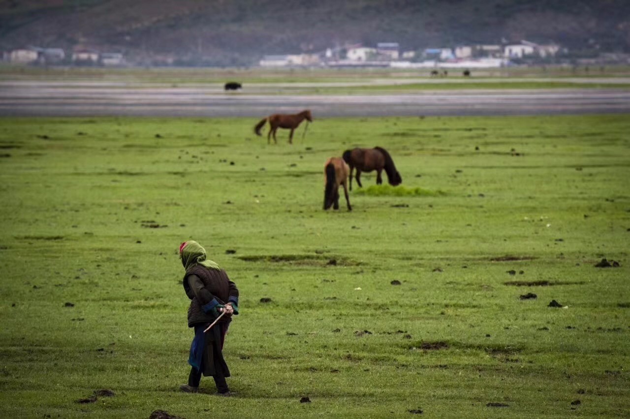 香格里拉薩洛頤度假酒店，以上帝視角看納帕海