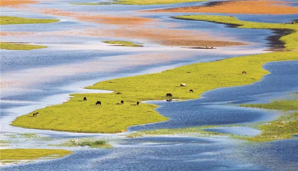 香格里拉薩洛頤度假酒店，以上帝視角看納帕海