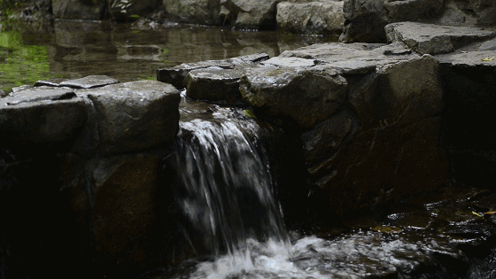 美豪西湖店，枕著西湖的美景入眠