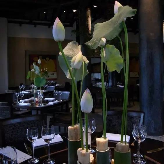 福佳“奇趣花園市集”，體驗(yàn)大自然的美好