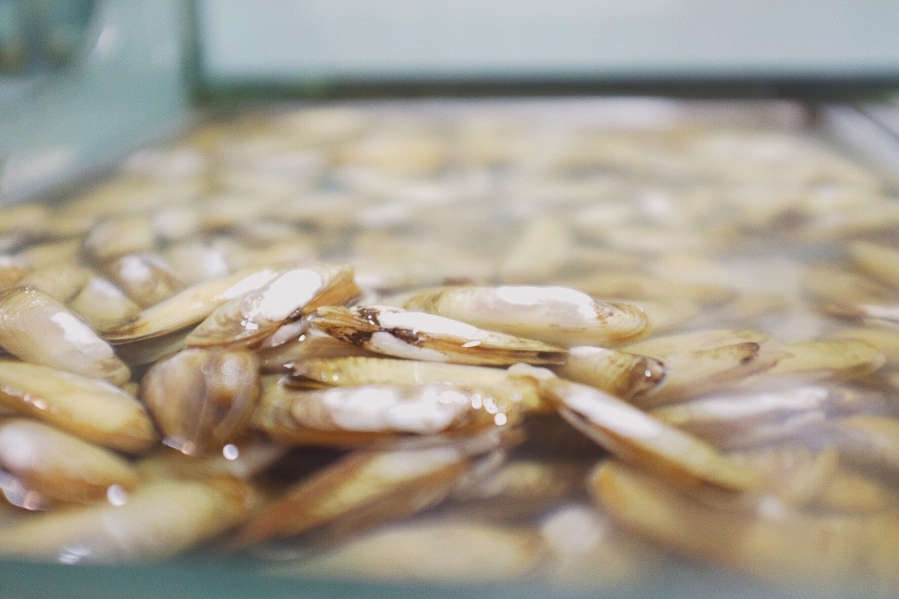 心湖·悅空間，用民宿的方式愛著我的小島生活