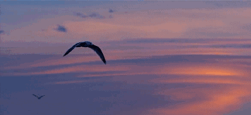 心湖·悅空間，用民宿的方式愛著我的小島生活