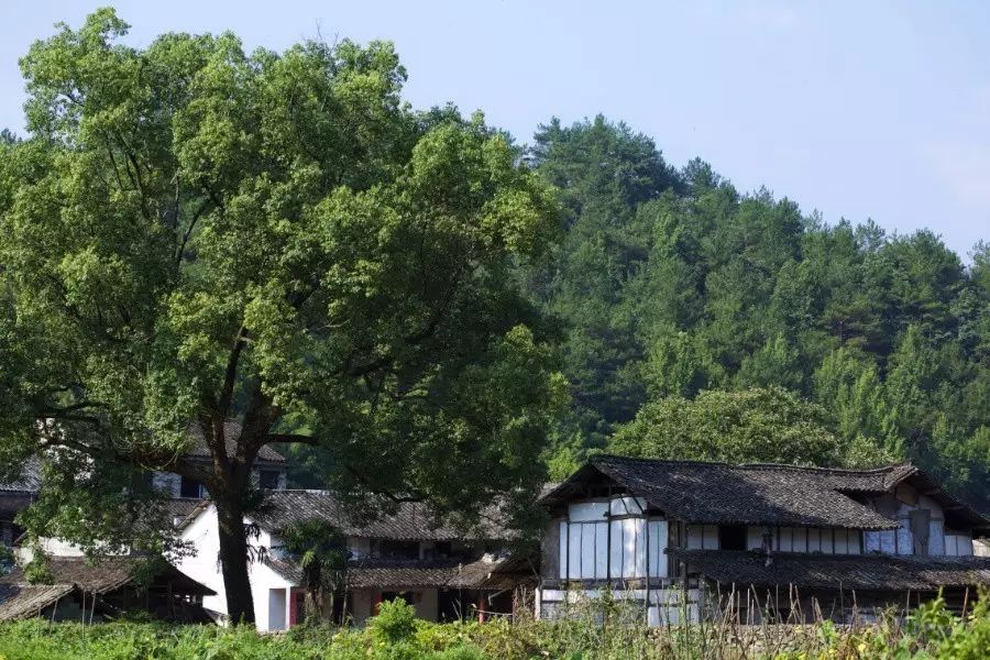 中國古建筑，千年古村不會消失但卻只剩下老房