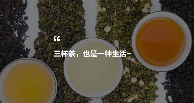 烏龍先生，用心做好茶發(fā)揚博大精深的茶文化