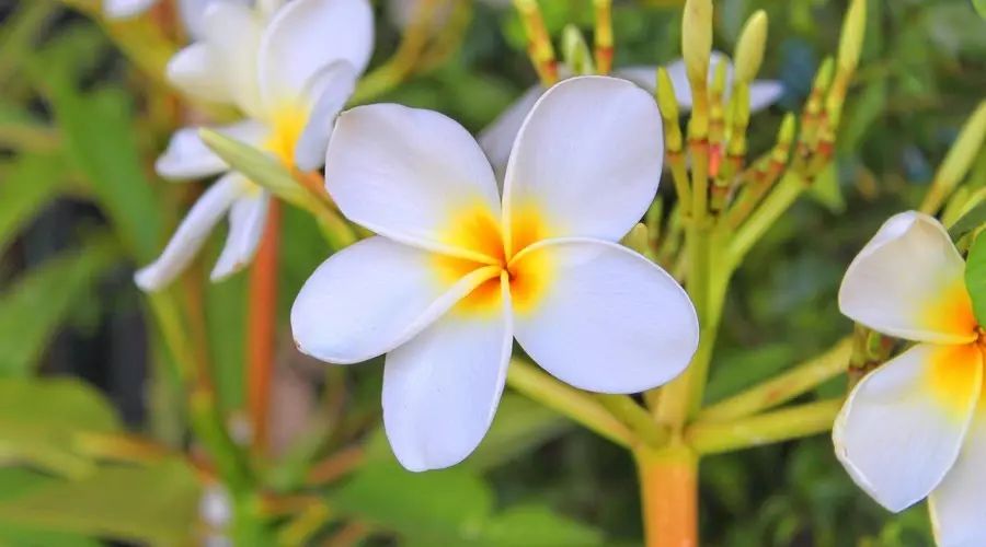 巴厘島·寓薦民宿，最美的巴厘島