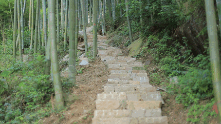 珀洱半坡，在竹海樹林之間盡享山間好風(fēng)光