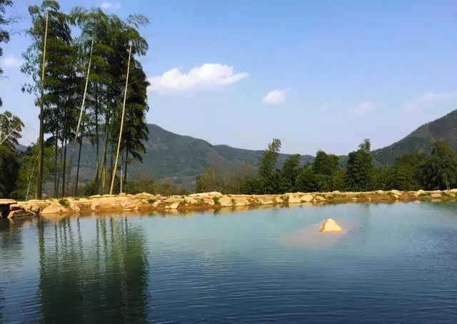 珀洱半坡，在竹海樹林之間盡享山間好風(fēng)光